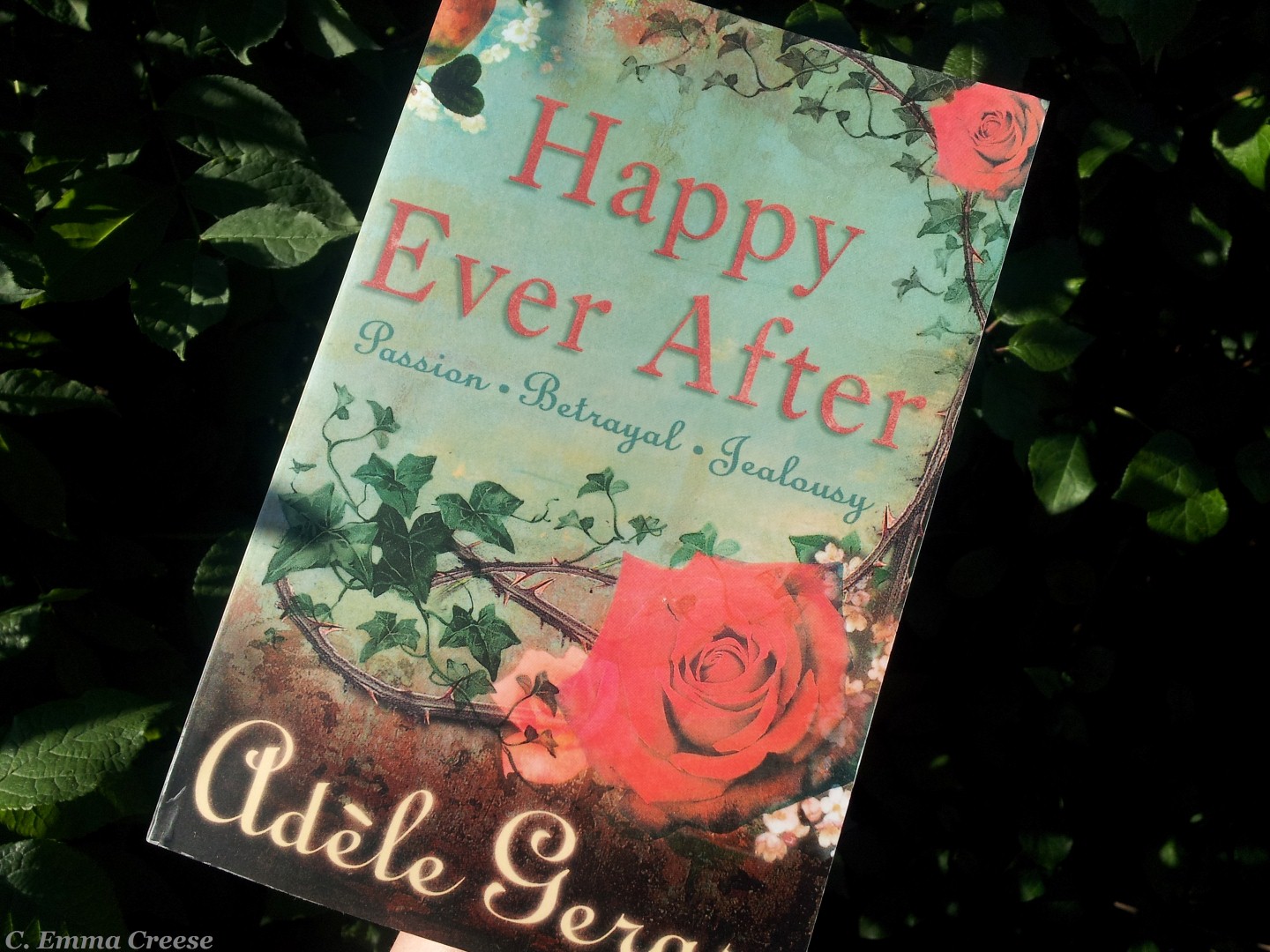happy ever after adele geras